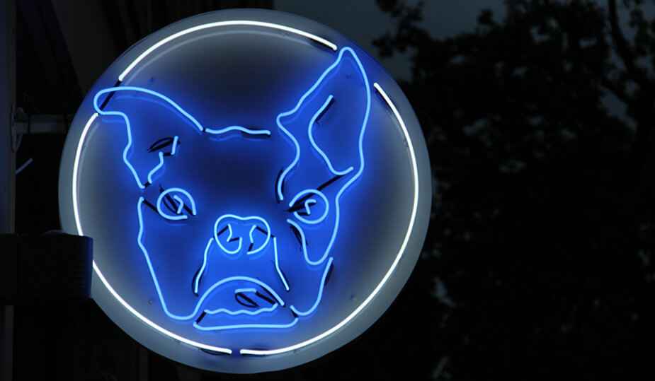 Bulldog