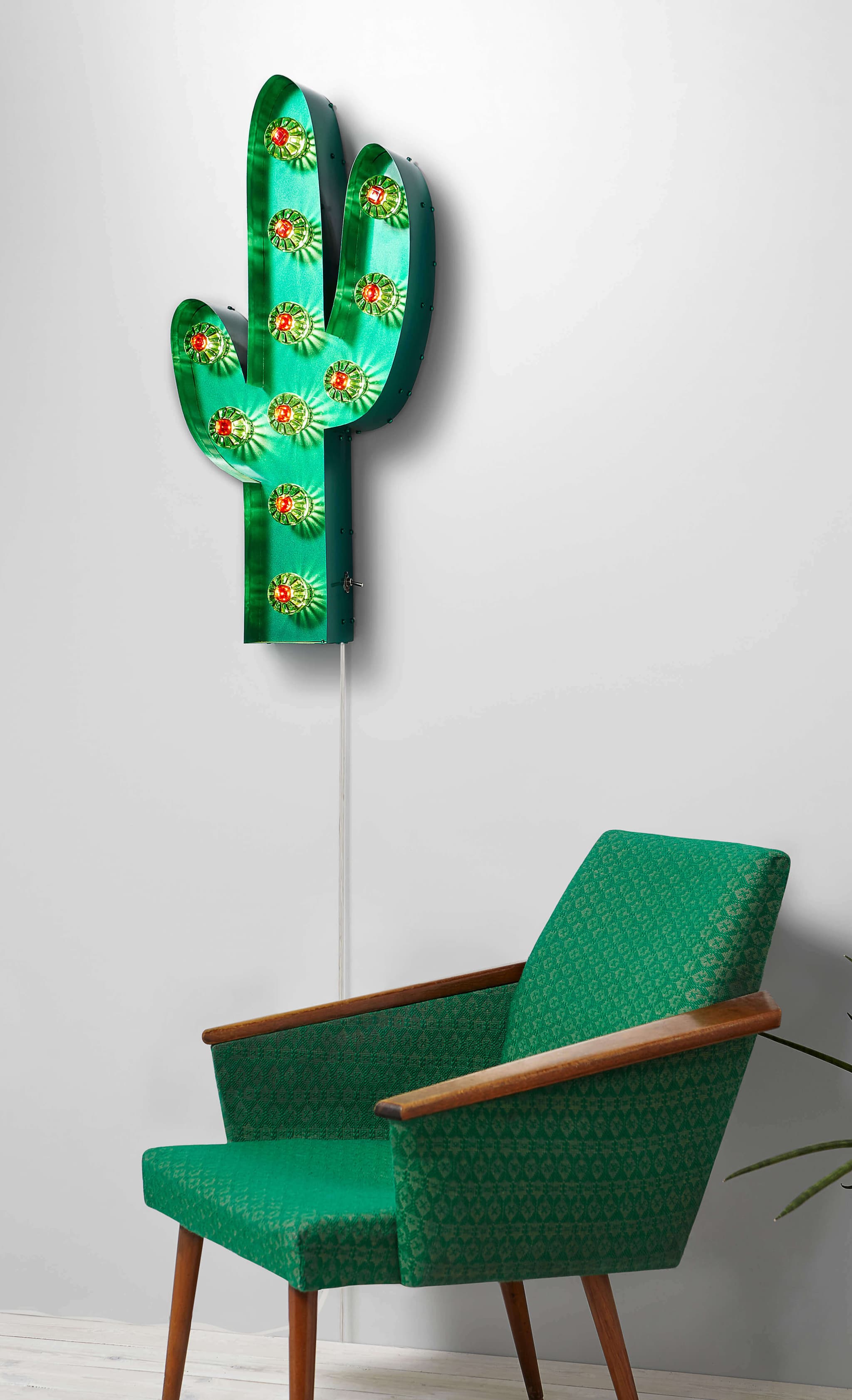 OOGVERBLINDENDE CACTUS