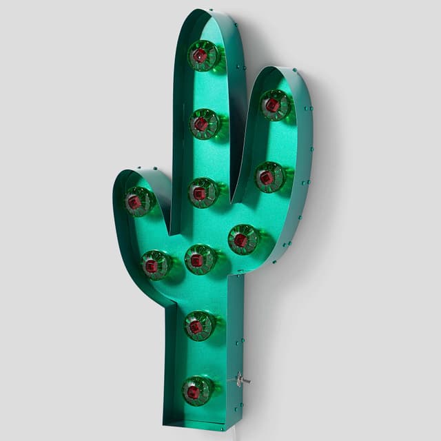 A BRILLIANT CACTUS