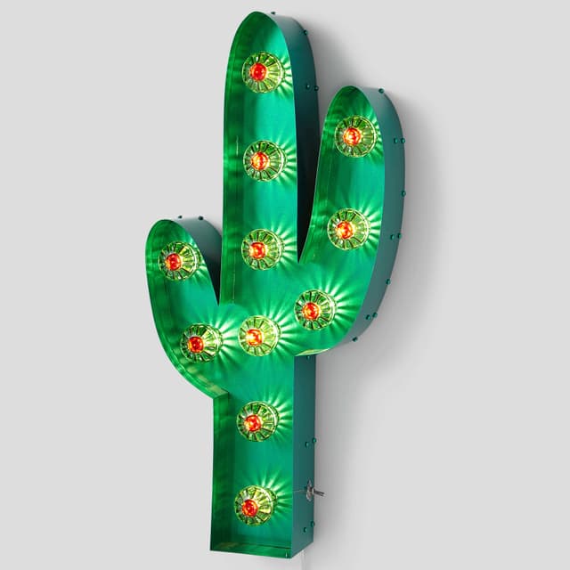 UN CACTUS BRILLANT