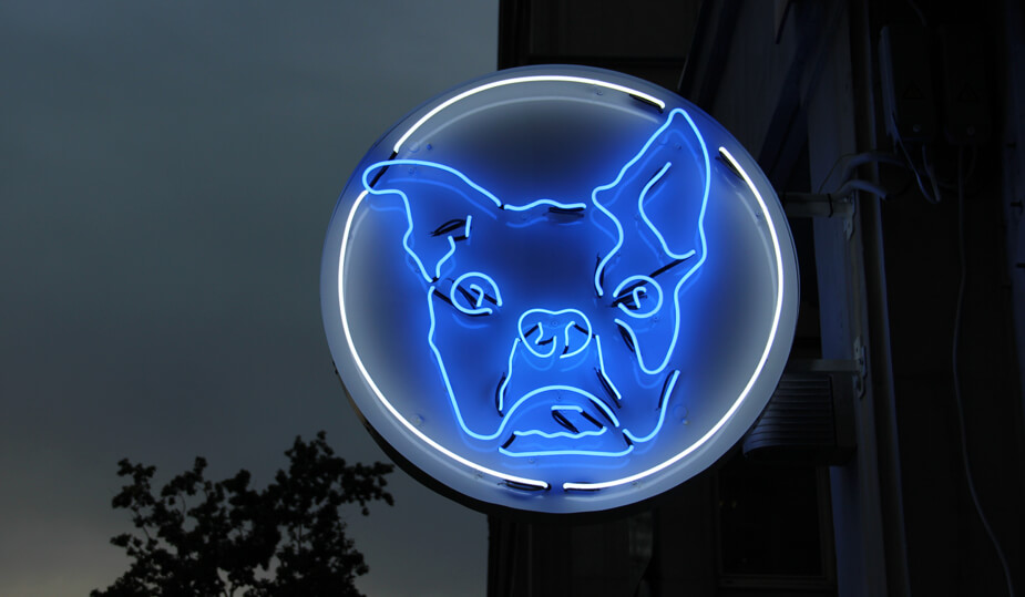 Bulldog - neon sign with company logo placed on advertising semaphore