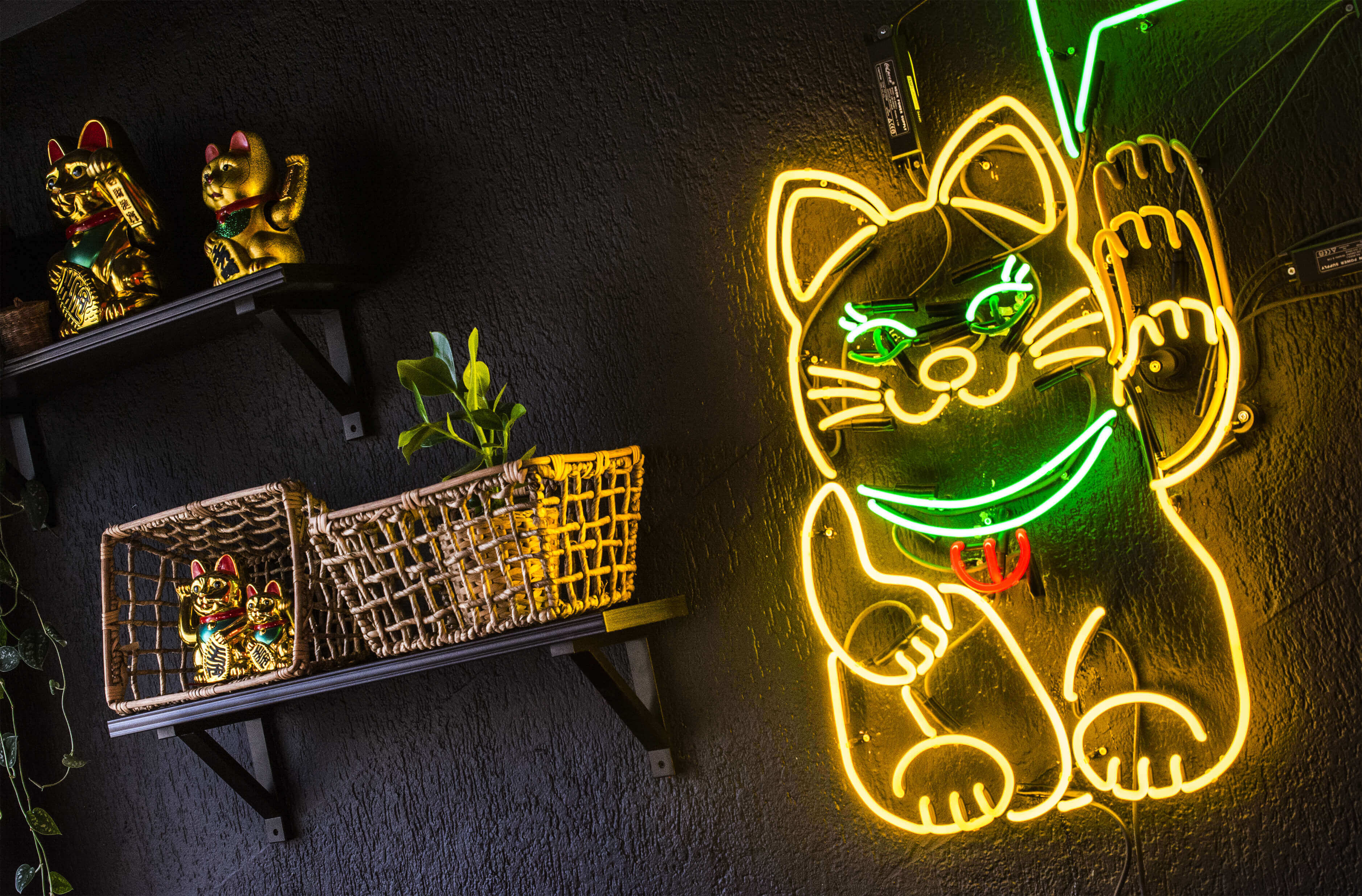 neon-chinese-cat-from-neon-blinking-neon-neon-with-interruptor-neon-controller-motion-neon-cat-from-neon-neon-on-the-wall-interior-restaurant-gdansk