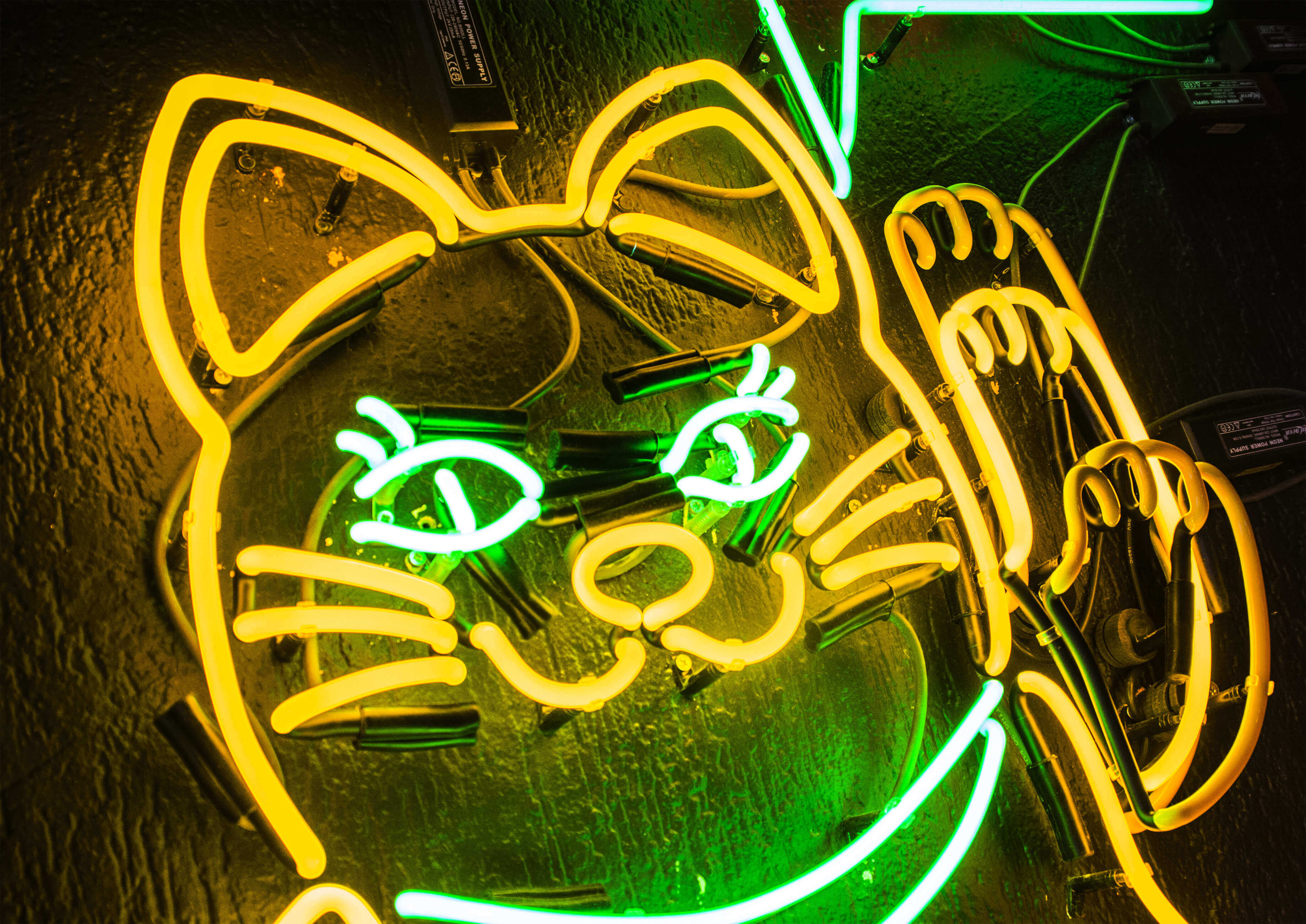 neon-chinese-cat-from-neon-blinking-neon-neon-with-interruptor-neon-controller-motion-neon-cat-from-neon-neon-on-the-wall-interior-restaurant-gdansk