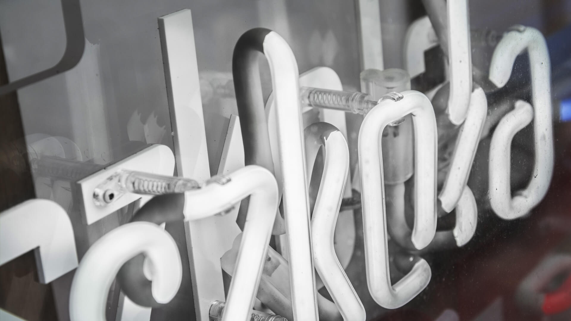 matsuri-language-school-neon-on-plexi-hanging-behind-the-glass-neon-at-the-entry-neon-colorful-logo-firm-neon-low-neon-on-exhibition-neon-in-office-red-glass-gdansk-przymorze