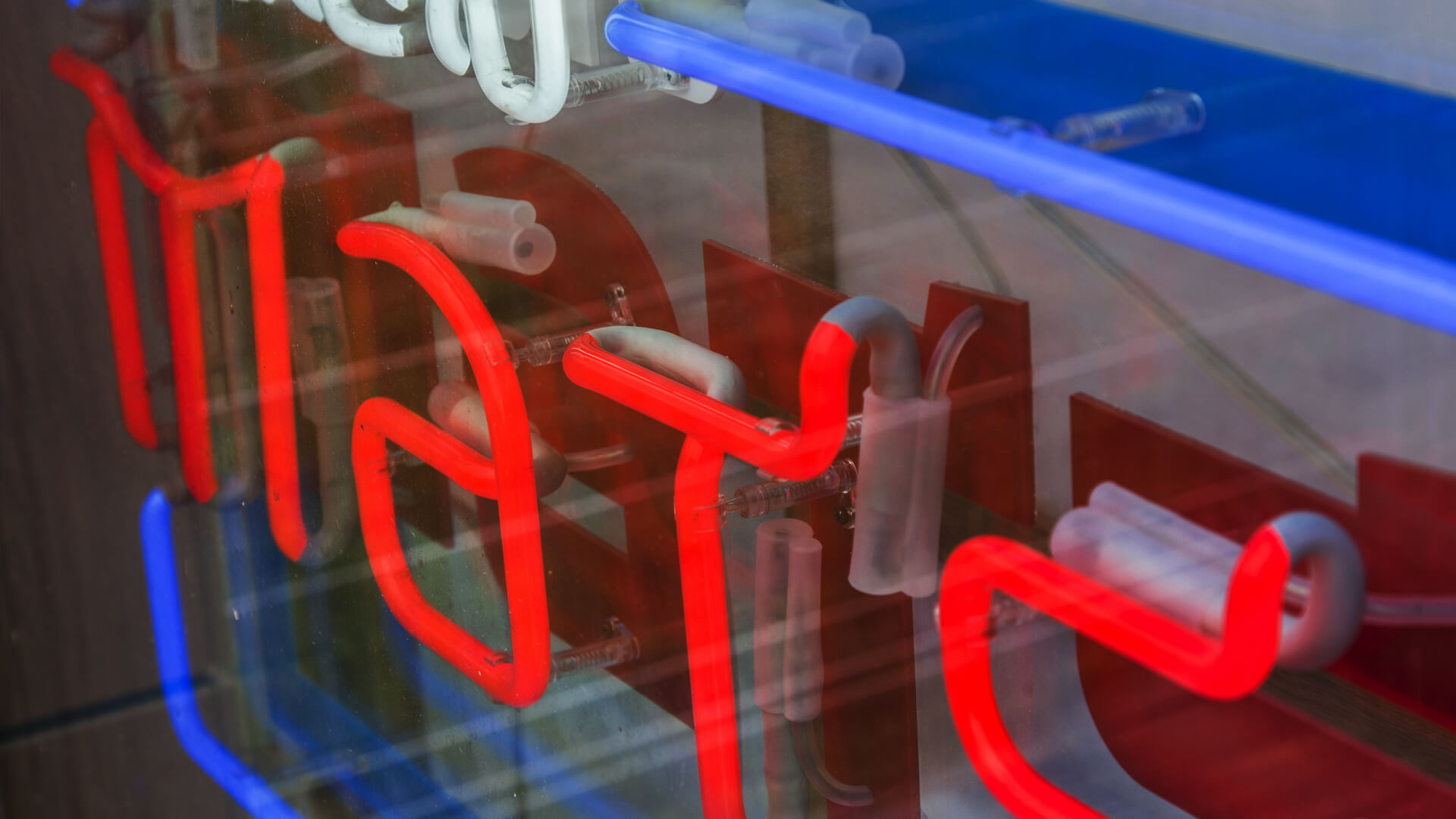 matsuri-school-linguïstisch-neon-op-plexi-hangt-achter-het-glas-neon-bij-de-entree-neon-kleur-logo-firma-neon-laag-neon-op-tentoonstelling-neon-in-kantoor-rood-glas-gdansk-przymorze