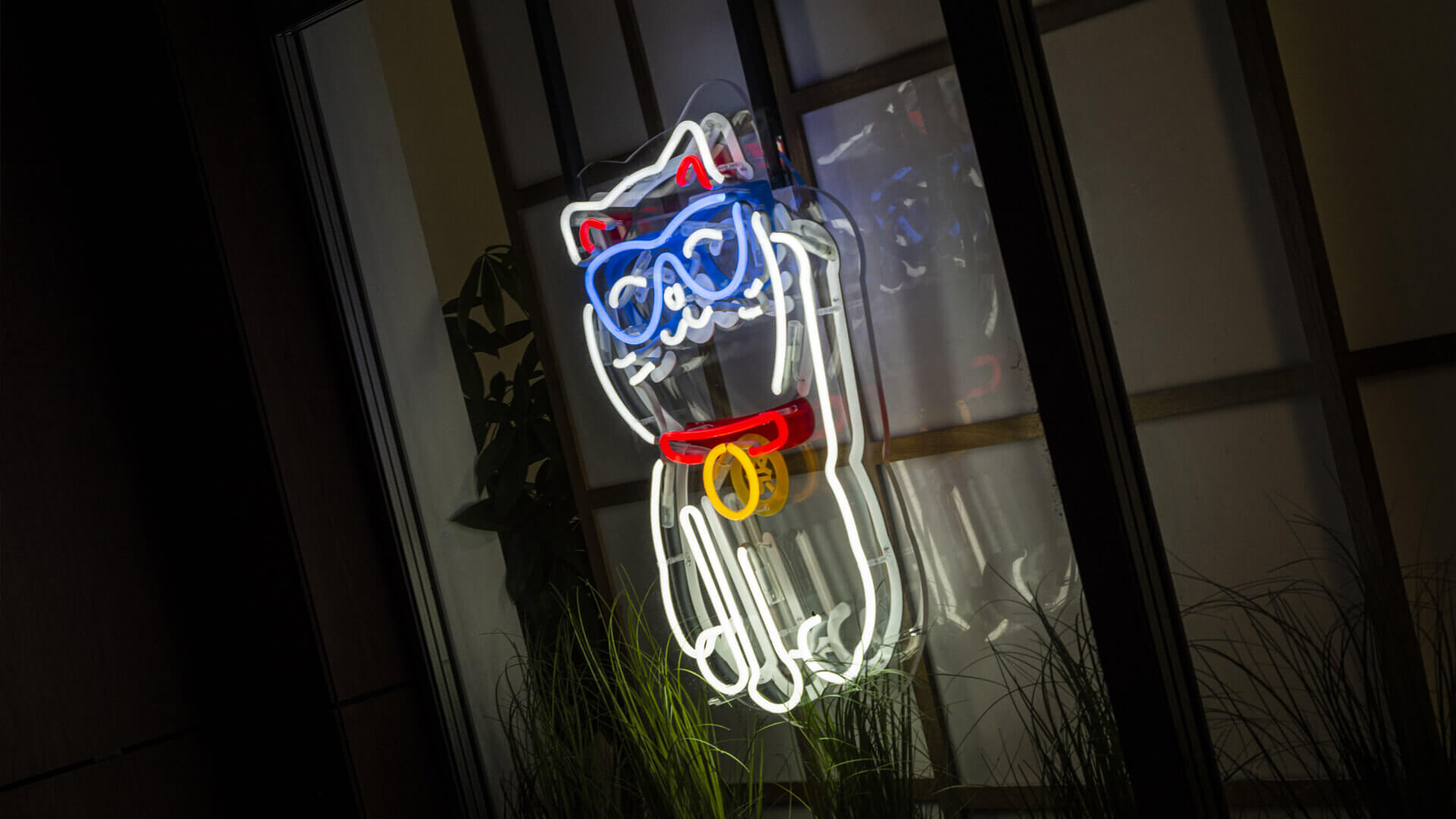 matsuri-school-linguïstisch-neon-op-plexi-hangt-achter-het-glas-neon-bij-de-entree-neon-kleur-logo-firma-neon-laag-neon-op-tentoonstelling-neon-in-kantoor-rood-glas-gdansk-przymorze