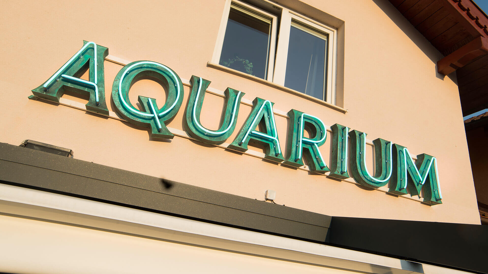 aquarium-neon-op-de-muur-van-het-gebouw-letters-bekleed-patina-neon-over-de-ingang-naar-restaurant-groene-neon-op-de-muur-van-het-gebouw-neon-op-een-stele-onder-glas (31).jpg