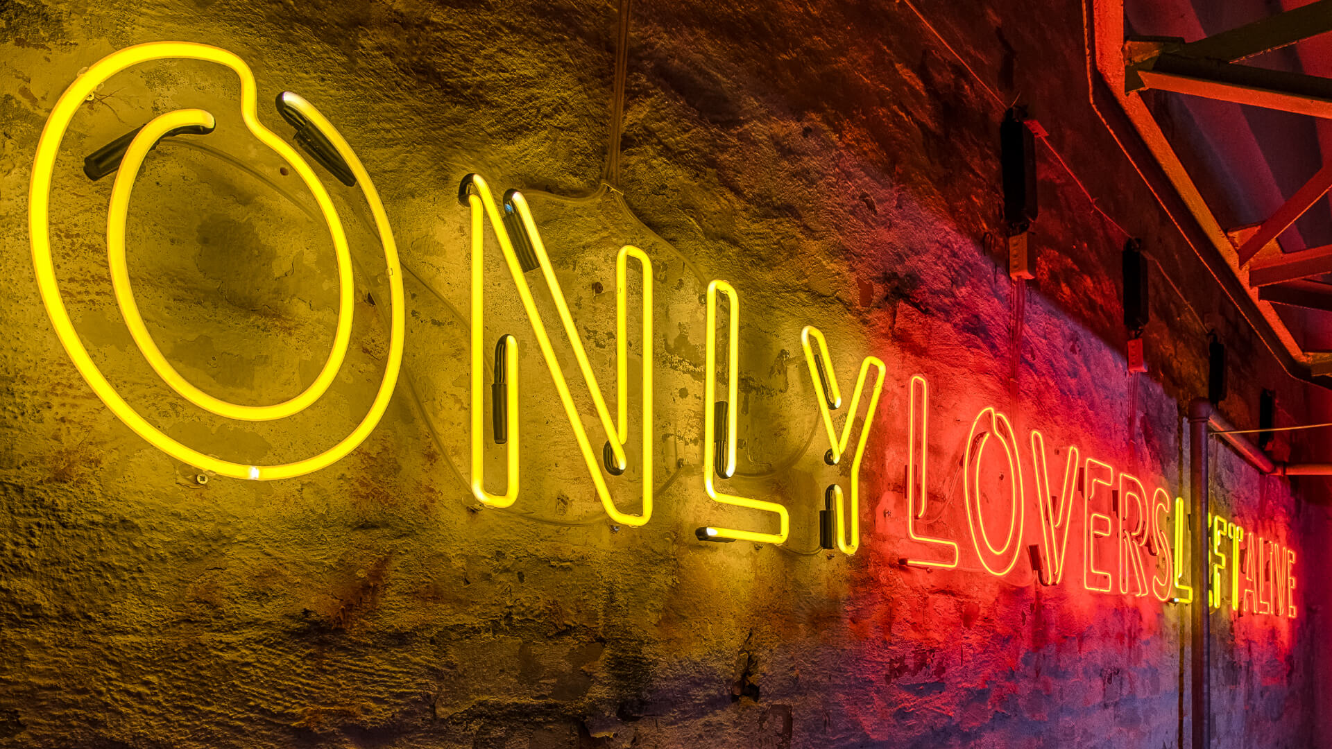 neon-on-the-wall-only-lovers-left-alive-neon-inside-the-location-neon-on-the-wall-neon