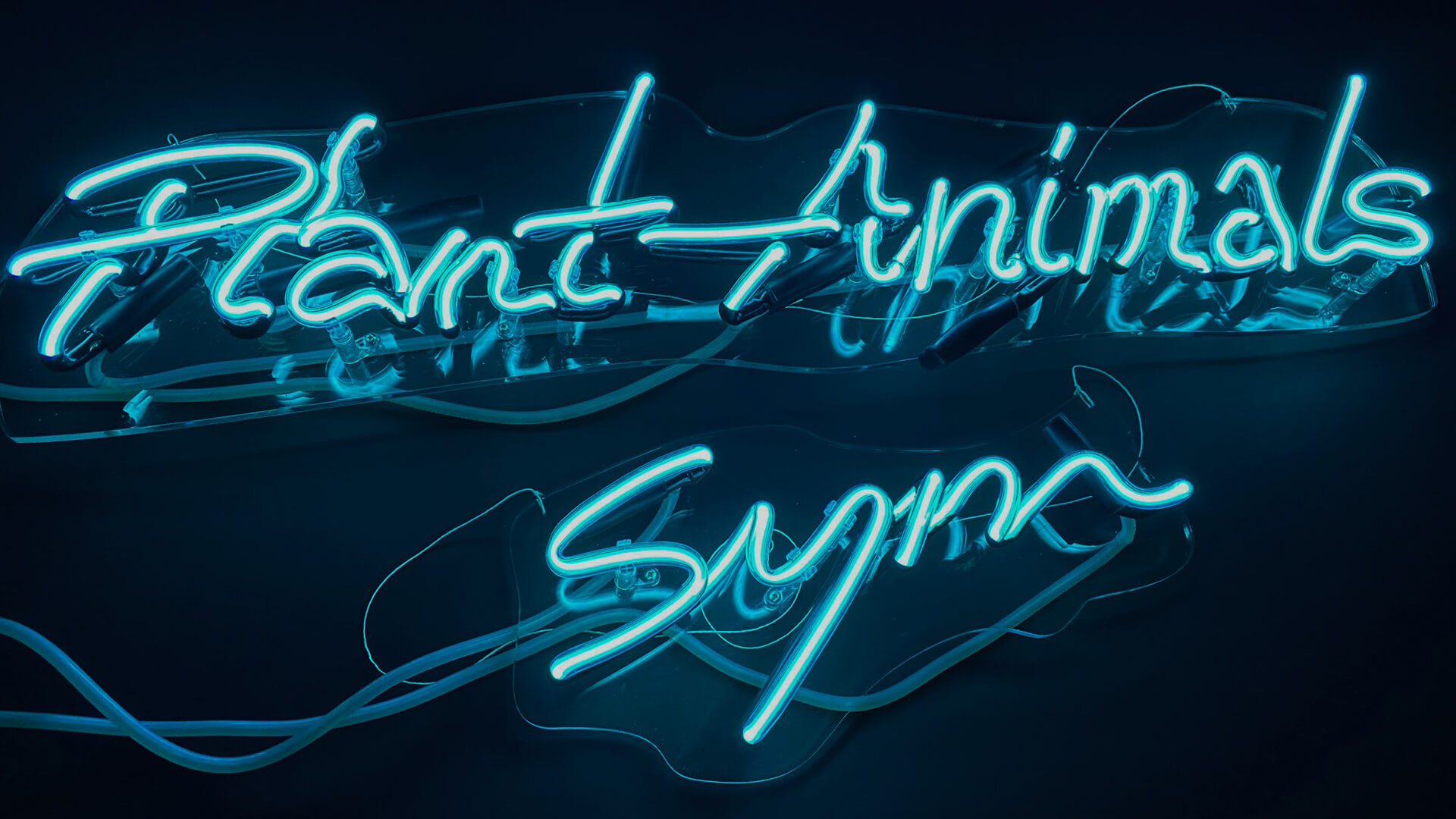 animali;neon-futuro-font-neon