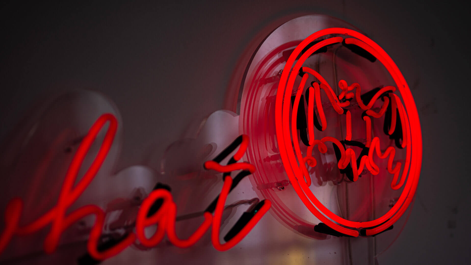 bacardi-logo-neon-bacardi-neon-signatures-rouge-couleur-bacardi-glass-neon