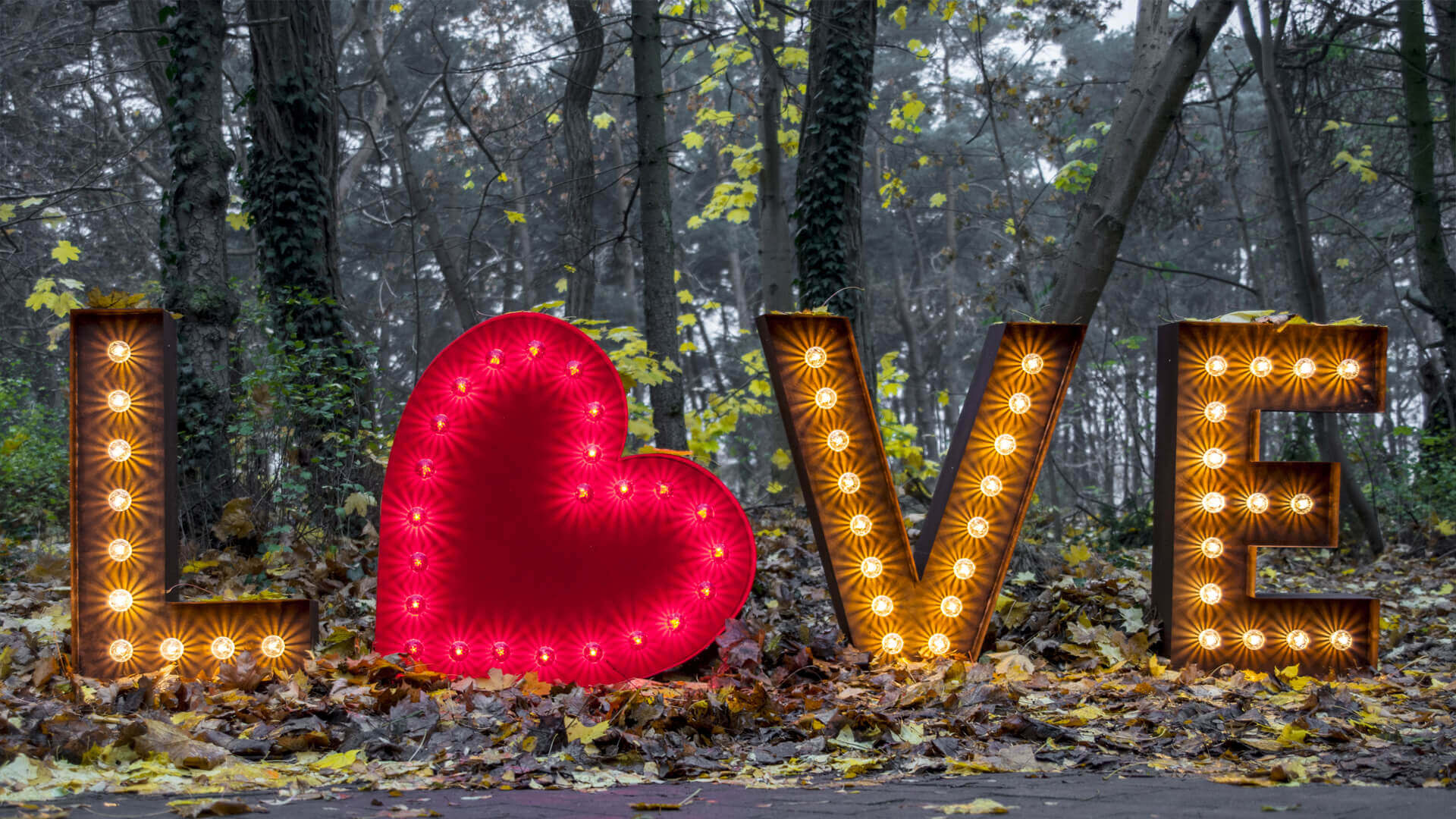 LOVE - Napis LOVE zlozony z liter świetlnych