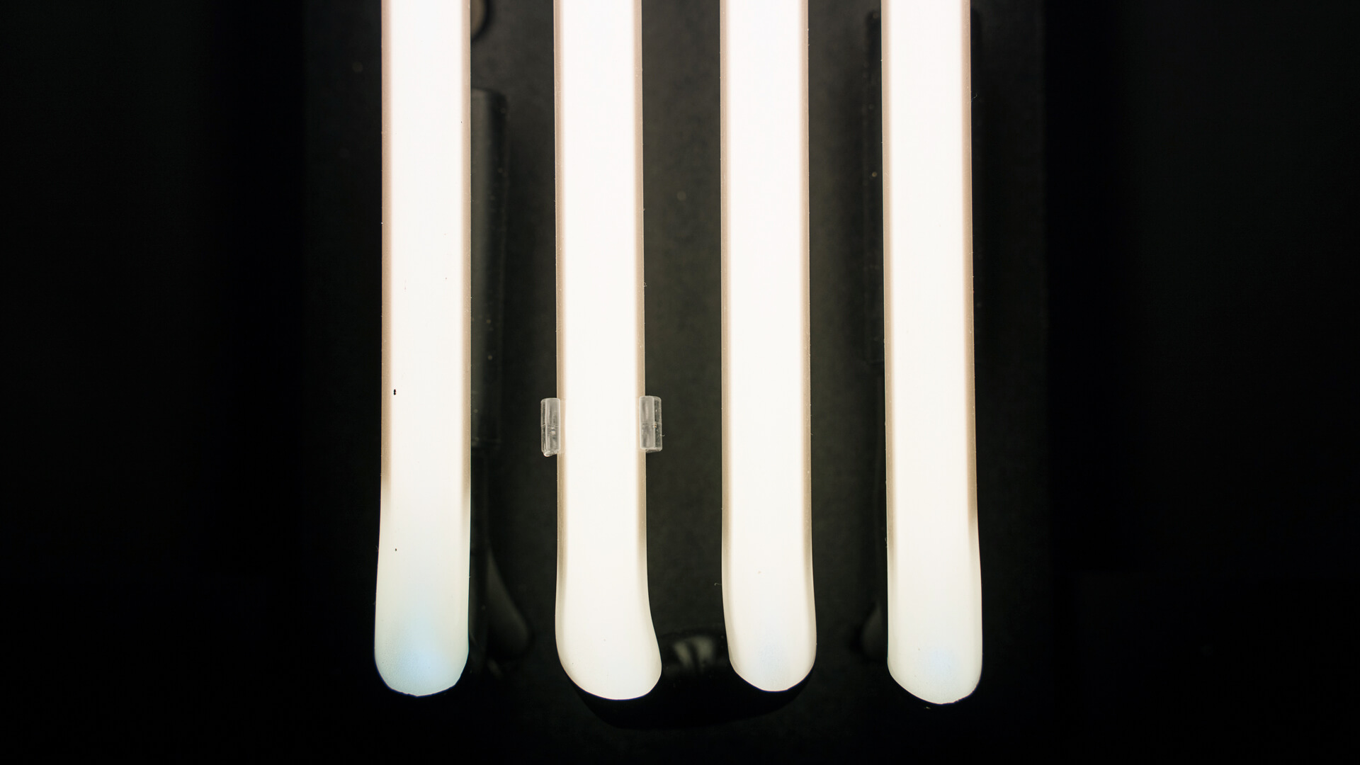 Neon Tamara Lempicka - Weißes neutrales Neon