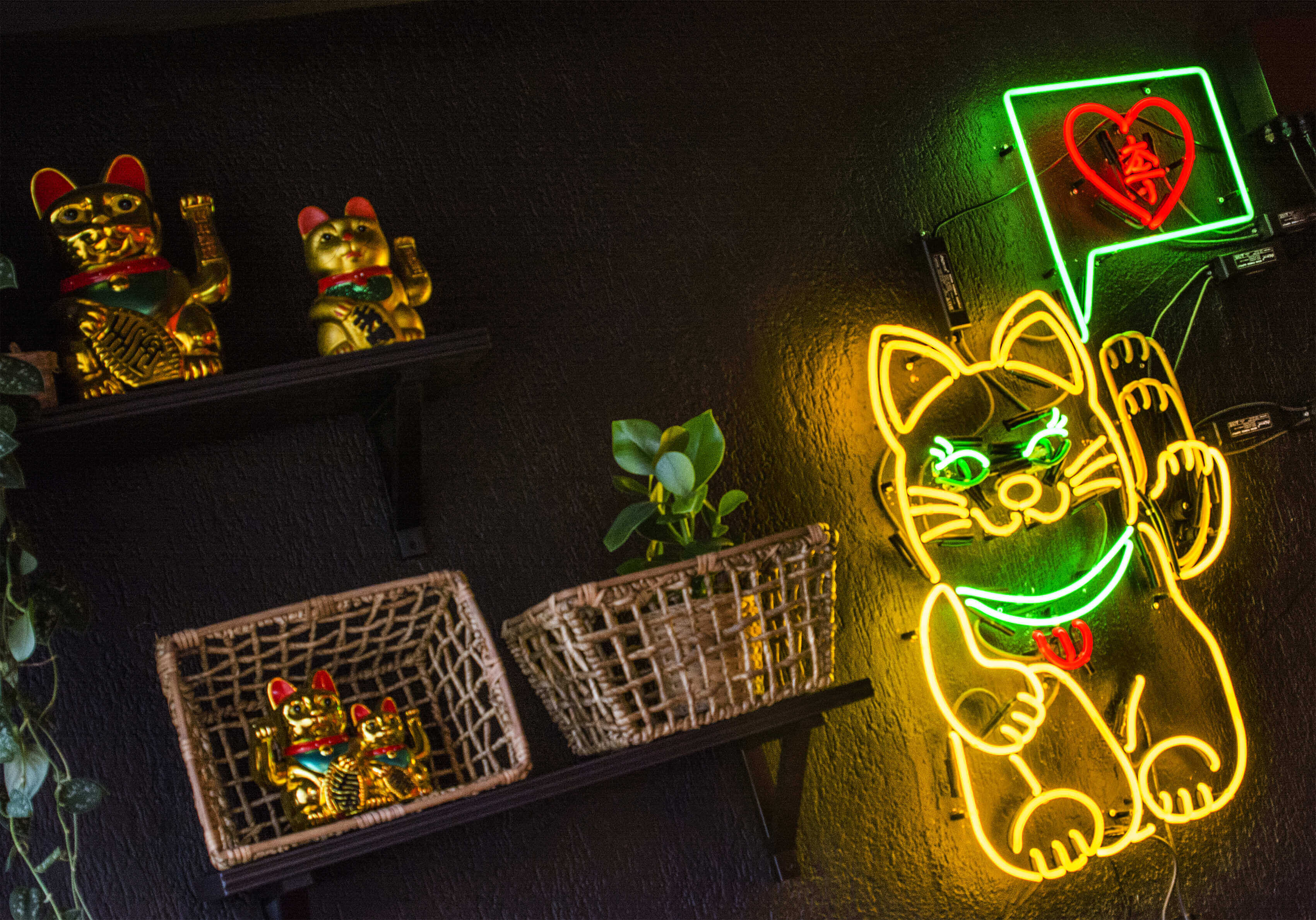 Kotek - neon-cinese-gatto-da-neon-neon ammiccante-neon-con-interruttore-neon-controller-motion-neon-gatto-da-neon-neon-sul-muro-interno-ristorante-gdansk