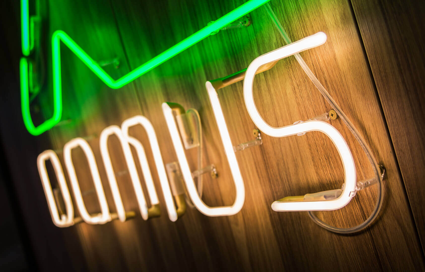 Domus - neon-domus-neon-sublighted-neon-on-a-wooden-wall-neon-interior-neon-in-office-neon-on-order-architects-silver-green-colour-white-neon-mounted-to-the-wall-neon-lettering