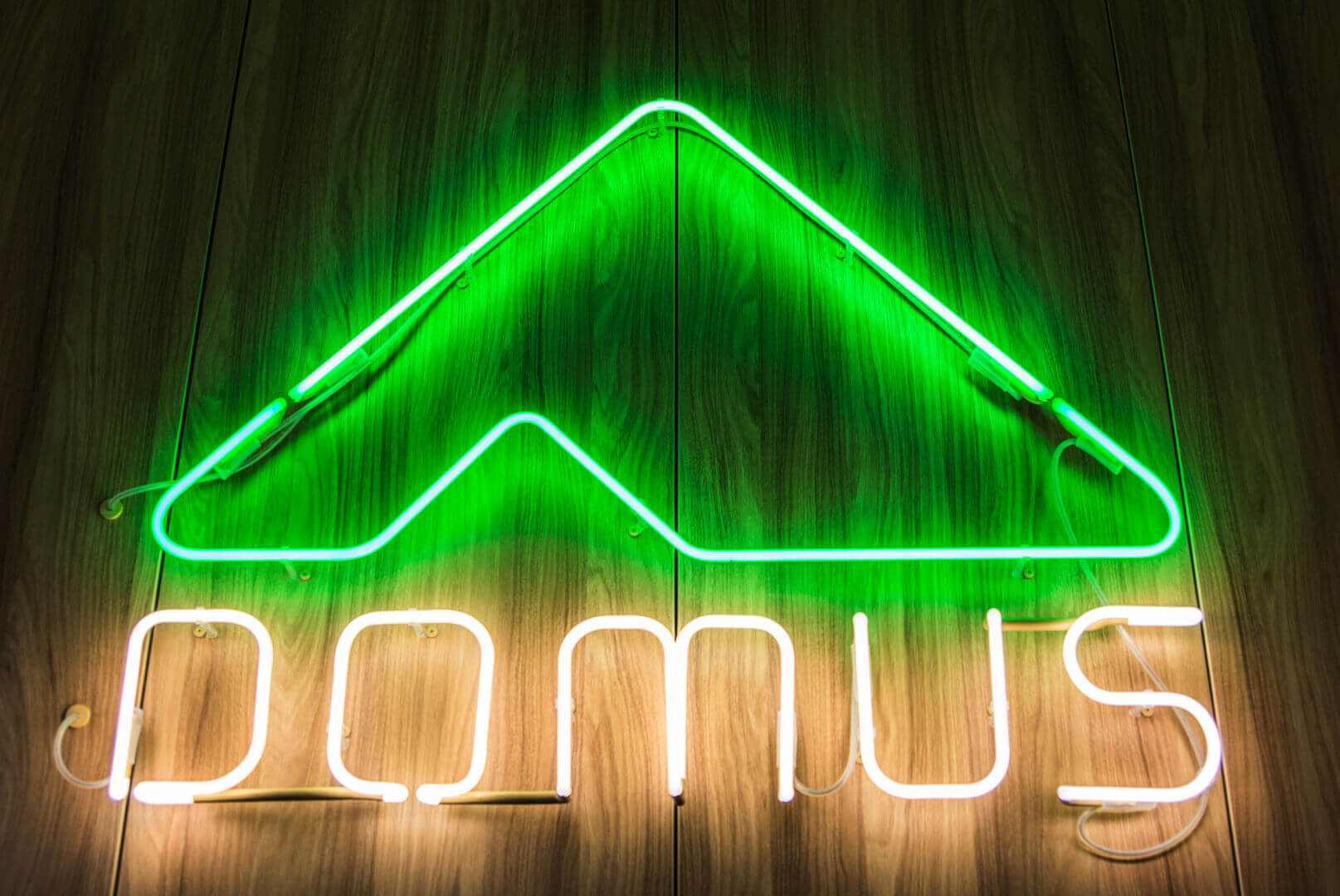 Domus - Neon-Domus-Neon-Unterlicht-Neon an einer Holzwand-Neon-Innenraum-Neon im Büro-Neon an der Wand-Buchstaben-Neon